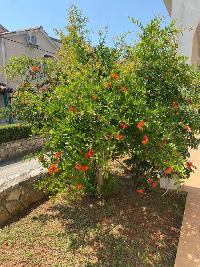 Apartmani Ana Borovac Funtana Exteriör bild